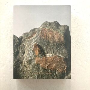 Beyond Compare | A Thousand Years of the Literati Aesthetic/Su Shi: Wood and Rock