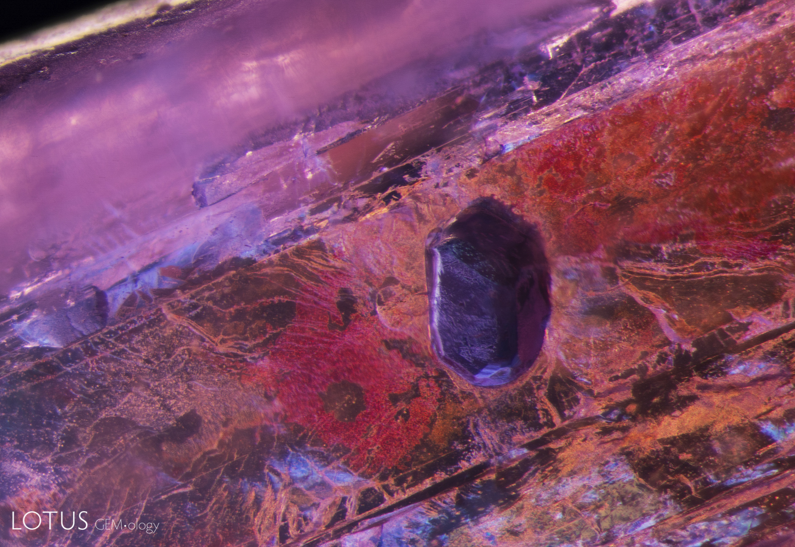 Hyperion Inclusion Search Engine Lotus Gemology
