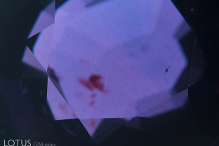 Rutile silk with vague blue zones in an untreated Mozambique ruby. Note that where the planes of rutile silk are concentrated, the blue color is absent. This is caused by what inclusion specialist John Koivula has dubbed “chromophore cannibalization.” Rutile consists of titanium dioxide and as it grows it sucks the titanium out of solid solution from the surrounding ruby, cannibalizing (removing) the blue color in the process.