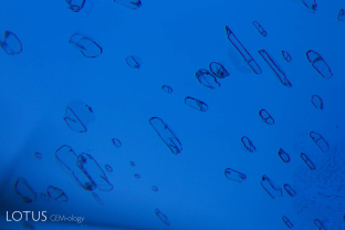 Negative crystals in transmitted light within this untreated sapphire from Mogok, Myanmar.