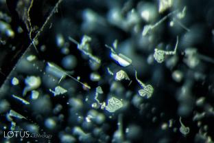 Iron-rich exsolved plates decorate the interior of a golden-sheen sapphire from Kenya.