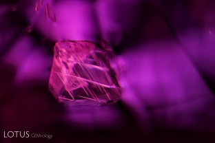 A polysynthetically twinned calcite crystal is captured within a Burmese red spinel. The twin planes stand out in strong relief when viewed between crossed polars.