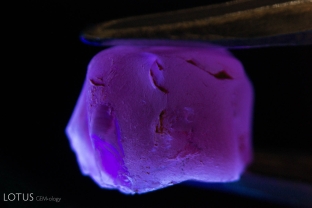This piece of Verneuil flame fusion synthetic sapphire was treated to make it look like a natural stone. However, the charade is over when the stone is viewed under shortwave ultraviolet light: it displays a chalky fluorescence that is seen in many Verneuil synthetics. (Note that natural stones may also display a chalky fluorescence, but it is usually in a zoned pattern.)