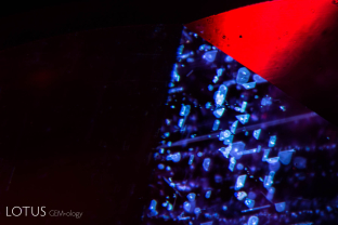 Rutile silk in Mozambique ruby showing a breakdown of the daughter crystals due to heat treatment.
