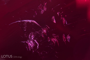 Heat-altered feathers just below the surface of this Mozambique ruby. In unheated rubies from Mozambique, these shallow fissures generally contain yellow-to-orange iron oxide stains.