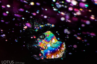 A melted crystal and surrounding fingerprint form a "Saturn inclusion" in this heated ruby from the Thai/Cambodian border. Thin films are also seen in the background and lie in the plane of the basal pinacoid.