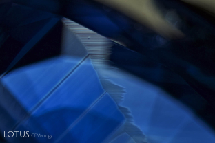 Dense clouds of exsolved titanium-bearing minerals have created the fanciful scenery within this untreated sapphire from Madagascar. As the crystal cooled these growing clouds sucked titanium from the surrounding sapphire, thus robbing it of an essential chromophore. The result is decolorized zones surrounding the clouds, a process dubbed “chromophore cannibalization” by microphotographic maestro John Koivula.