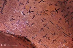 This synthetic pink sapphire was fractured and then appeared to have been soaked in an iron-rich solution to created orange stains in the fissures, thus simulating padparadscha. The stains developed unusual dendritic patterns, as seen here. Chemical analysis also reveal traces of lead in the fissures.