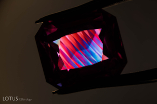Polysynthetic twinning is secondary twinning, forming after the host crystal grew. When the stone is placed between crossed polars, the dazzling colors of these polysynthetic twin planes can be easily seen.