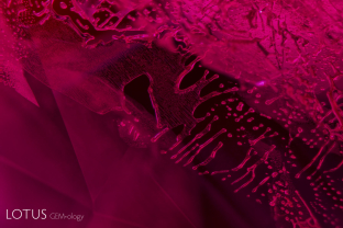 When a ruby is heat-treated at a high enough temperature, the angular channels of fingerprints begin a “necking down” process where they become more rounded, as seen here. This is particularly true if fluxes are used during the treatment. 