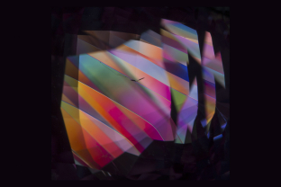 Polysynthetic twinning in this pink sapphire from Vietnam creates an explosion of color when viewed between crossed polars.