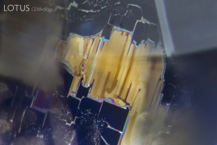 Iridescent fingerprint in a sapphire. The rectangular healing pattern suggests that this fingerprint lies parallel to a prism face.
