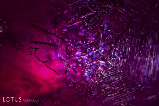 A classic inclusion scene in a star ruby from Myanmar’s Mogok Stone Tract. Here we can see severely elongated negative crystals against a backdrop of undissolved rutile silk.