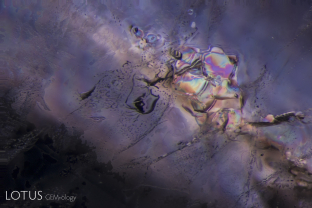 Transparent birefringent crystals and heat-altered fingerprints in a sapphire of unknown origin.
