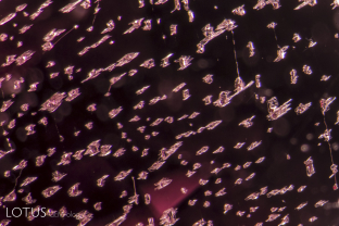 A network of coarse negative crystals forms in a fingerprint pattern in this spinel from Myanmar’s Mogok Stone Tract.