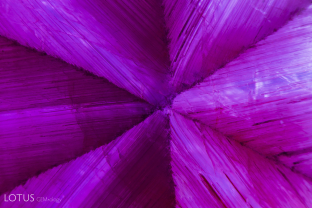 A stunning fixed star-like pattern glows in this trapiche ruby from Mong Hsu, Myanmar.