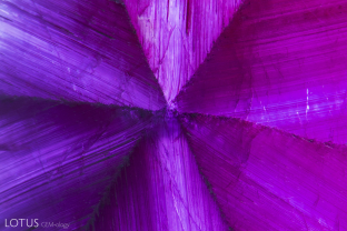 A stunning fixed star-like pattern glows in this trapiche ruby.