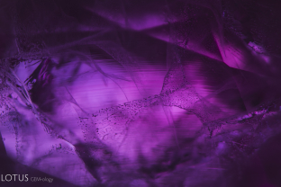 Upon perfunctory observation, the healed fissures suggest that this ruby is heated, but closer observation reveals curved striae, proving that the stone is a quench crackled synthetic ruby.