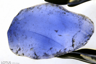 At first glance, this piece of “rough” sapphire looks convincingly natural with abrasions and fissures on the surface. But once it’s immersed in methylene iodide, curved growth zoning become obvious and reveal that the stone is a Verneuil synthetic.
