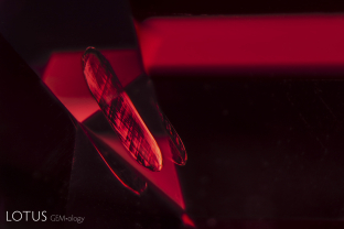 A transparent crystal glows with a clear polysynthetic twinning pattern inside its spinel host.