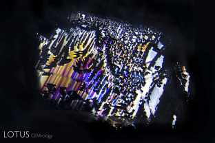 This wound in a sapphire from Sri Lanka has metamorphosed over time into the spectacularly iridescent fingerprint inclusion we see here. Such healed fissures display evidence of the underlying atomic symmetry.