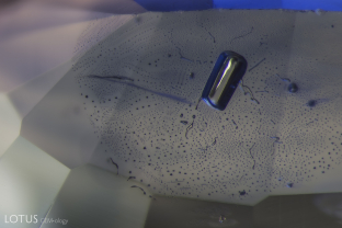 The shiny, melted appearance of this crystal and the fingerprint surrounding it suggest that their Madagascar sapphire host was heated.