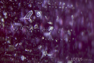 Virtually all Mozambique rubies contain exsolved rutile silk. These needles consist of two connected crystals, one a titanium-rich portion of high relief (rutile) and at the broad end, a Ti-Fe “daughter” crystal (probably ilmenite) of lower relief. When such a gem is heated, the daughter portion may start to break down, resulting in a mottled appearance on the daughter platelets.