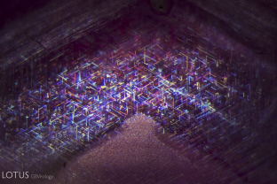 Undissolved rutile silk needles normally suggest that a stone has not been heated. However, in this example the stone hasn’t been heated at a high enough temperature to melt the silk, but other features prove that the stone has been treated.