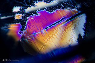 A secondary liquid inclusion explodes with color when lit from above. The healing pattern suggests that this fingerprint formed oblique to the c-axis.