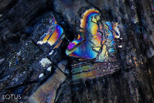 Like butterfly wings, thin liquid inclusions display brilliant iridescence in this trapiche sapphire.