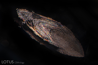 Small fingerprint in a gray spinel appears doubled as it reflects off the table facet.