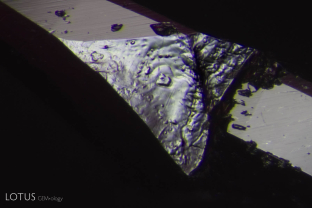 Spall marks on a natural on the girdle of this Thai/Cambodian ruby reveal the heated nature of this stone.
