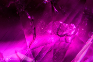 A crystal (probably a carbonate), along with fingerprints and polysynthetic twinning in Jegdalek ruby