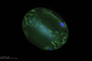 A synthetic yellow sapphire displays strong chalky green fluorescence in shortwave illumination, helping to separate it from natural sapphire.