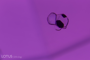 This spinel contained a number of octahedron-shaped crystals filled with a transparent doubly refractive material, as well as hexagonal black plates of what is probably graphite. The ability of spinel to force its morphology on guest minerals has been dubbed “philoxenism”  by John Koivula.