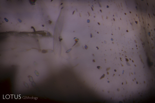 A “ghost” fissure in a Sri Lankan sapphire treated with high-temperature heating plus pressure (HT+P). In parallel polars, the fissure shows transparent doubly refractive crystals. These have previously been identified as corundum by Lotus gemologists using microRaman. These tiny synthetic corundum crystals form during the treatment. FoV=4 mm.