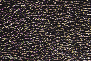 Liquid fingerprints in spinel are rather uncommon. Here we see a rare example, more highly magnified.