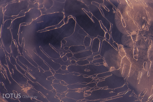 This sapphire from Myanmar’s Mogok Stone Tract displays a classic fingerprint inclusion in a spider’s web shape. The plane of the inclusion is close to the basal plane. As a result, the healed areas have a hexagonal shape.