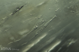 Within this emerald, numerous cavities contain liquid, gas and as many as four different solid phases.