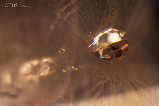 This padparadscha sapphire contained a beautiful negative crystal, suspended against a fingerprint.