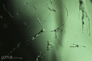 Afghan emeralds often contain cavities with multiple phases, such as this example in the center that shows four different crystals and two different gas bubbles.