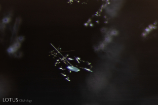 Several unusual clusters of small needles and platelets were scattered throughout this blue spinel.
