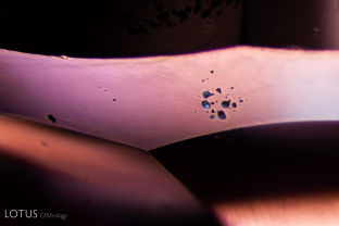 A cluster of tiny graphite (ID’d with micro Raman) flakes can be seen when we peek through the girdle of this spinel. They may appear black in darkfield illumination, but when hit with the beam of our fiber optic light they display a metallic luster.