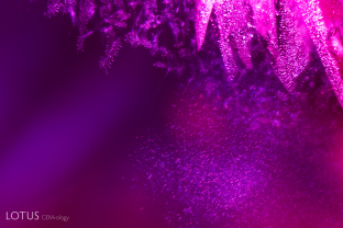 In this ruby from Mong Hsu, Myanmar, we can see both short rutile needles and more irregular wispy diaspore type silk.