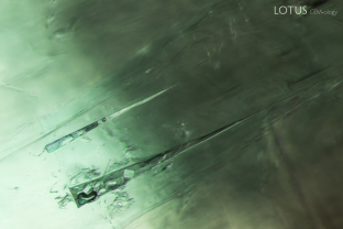 This emerald contained several elongated three-phase inclusions.