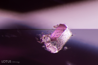 Micro raman identified this crystal as apatite. Apatite is a common inclusion in spinels from Vietnam, like this one, as well as spinels from many other origins.