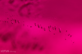 A string of small flux filled cavities stands out in this flux synthetic ruby.