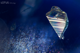 A euhedral apatite crystal, which was identified with micro Raman, appears to float over a cloud of rutile silk in this Ceylon sapphire.