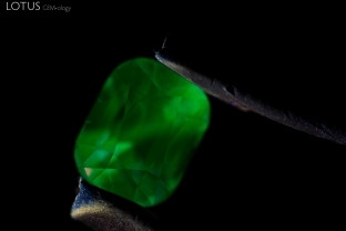This blue spinel displayed a striking green fluorescence when illuminated with longwave ultraviolet light.