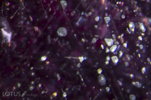 Further evidence is found by carefully examining the mixed crystal exsolved rutile silk. Such inclusions typically unmix into two different solid phases, one highly reflective and the other of lower relief. When such crystals are heated, the lower relief crystals may begin to break down, developing irregular white patches, as one can see here, particularly in the crystal at the center left of the field of view.